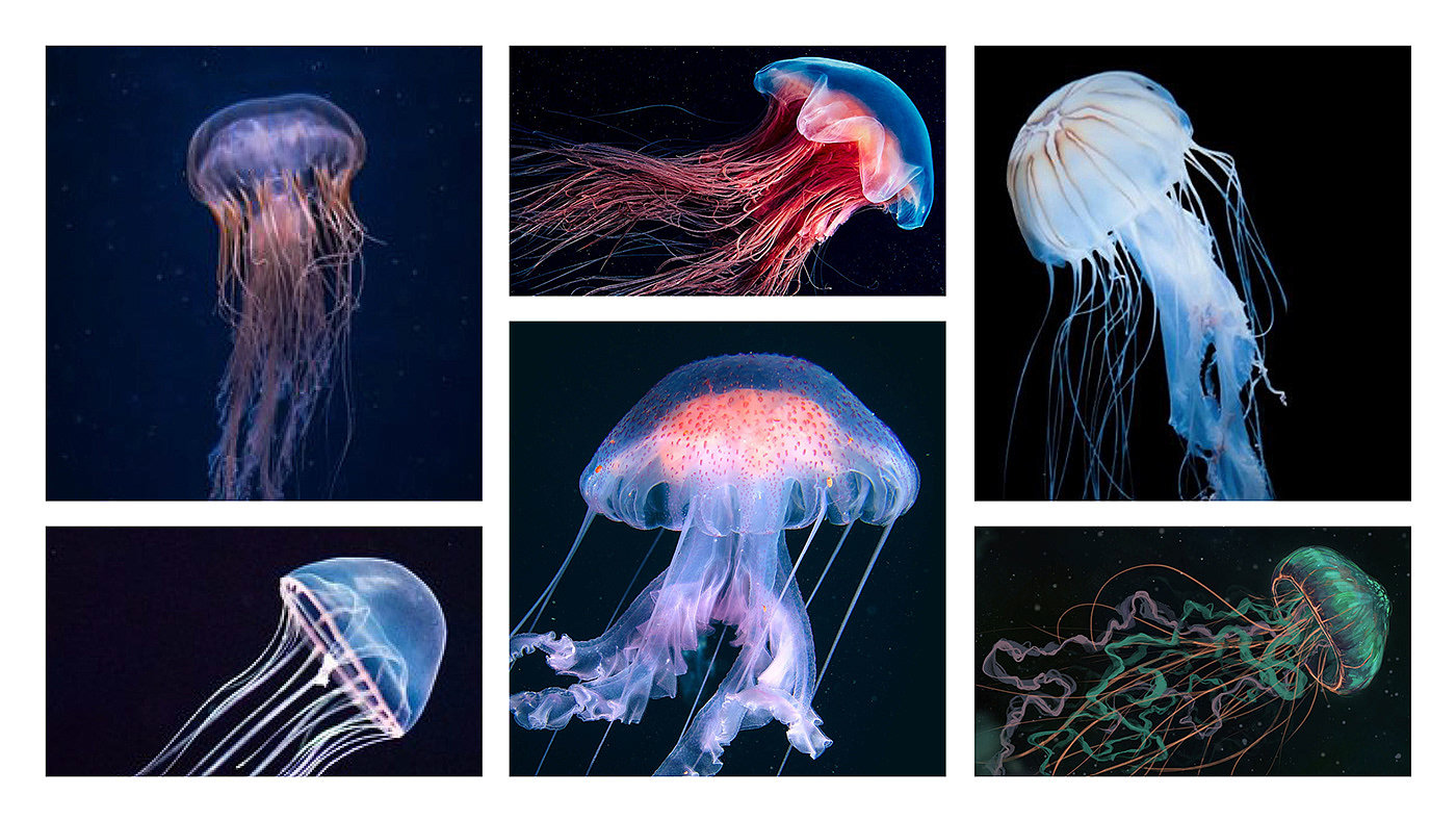 Desk lamp，beautiful，jellyfish，inkstudios，