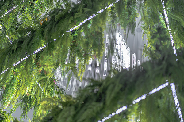 Deric Jeon，Island of life，Island of Life，Phylogenetic tree，Hunan National Institute of biological resources，bio-diversity，DNA data，a chandelier，