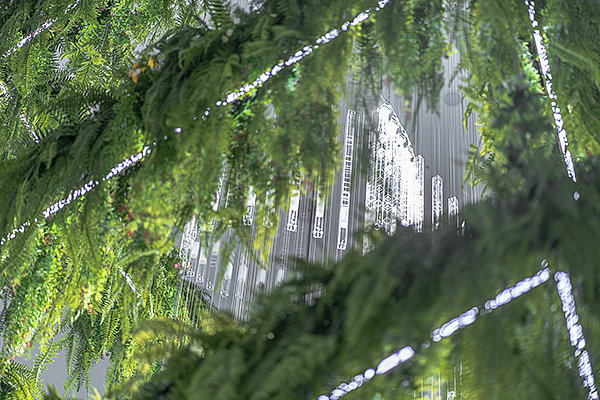 Deric Jeon，Island of life，Island of Life，Phylogenetic tree，Hunan National Institute of biological resources，bio-diversity，DNA data，a chandelier，