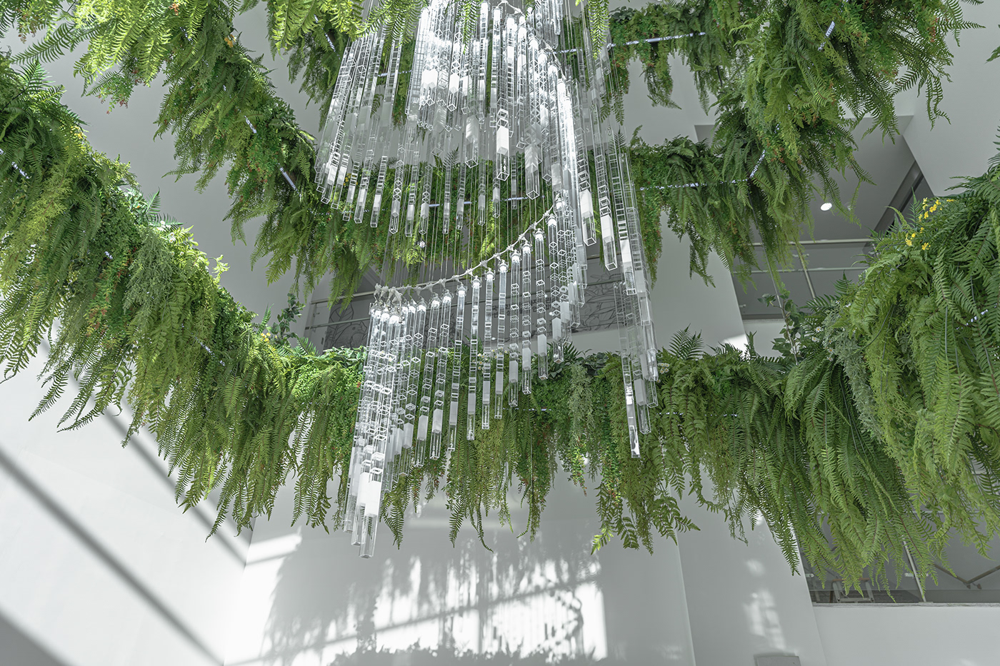 Deric Jeon，Island of life，Island of Life，Phylogenetic tree，Hunan National Institute of biological resources，bio-diversity，DNA data，a chandelier，