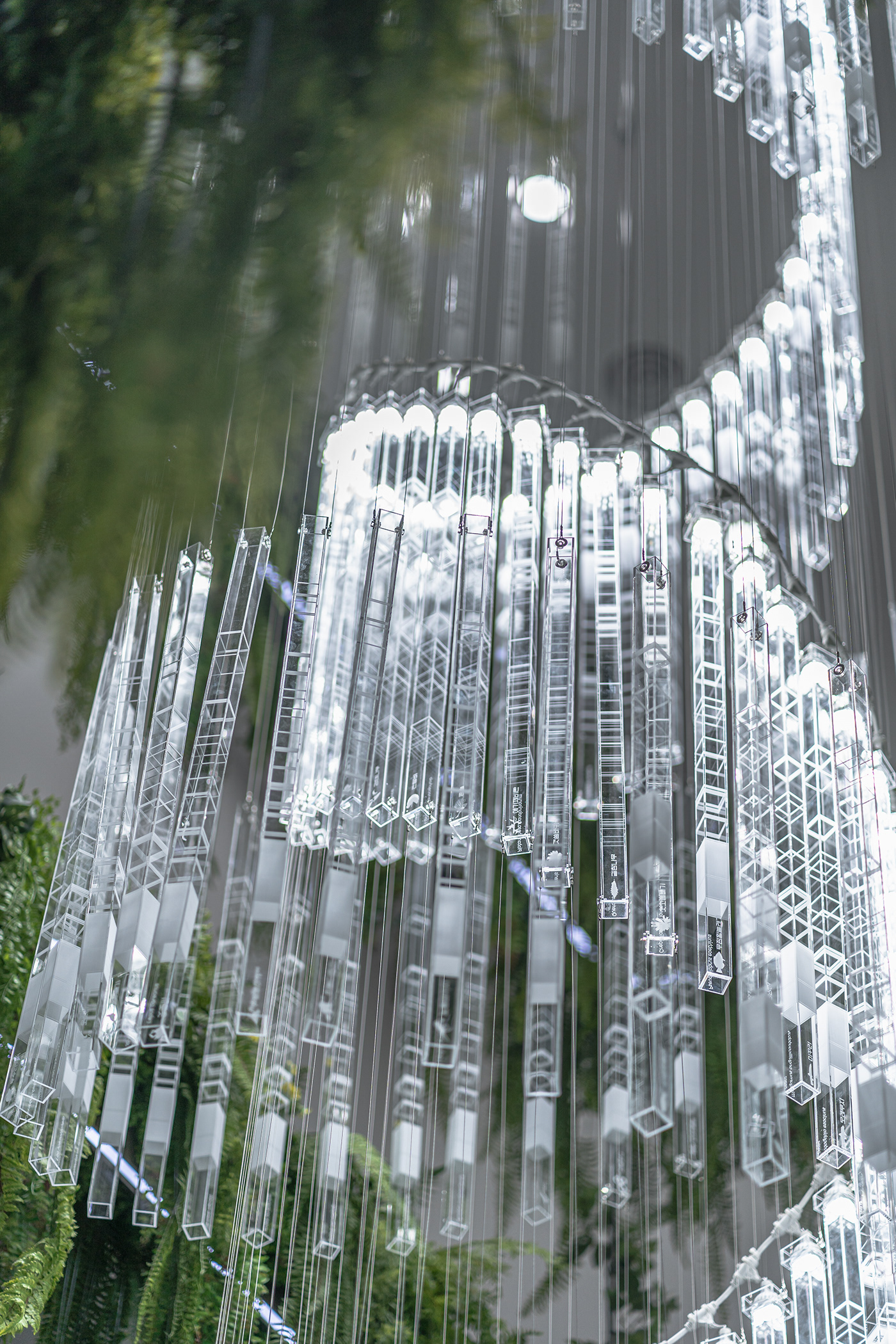 Deric Jeon，Island of life，Island of Life，Phylogenetic tree，Hunan National Institute of biological resources，bio-diversity，DNA data，a chandelier，