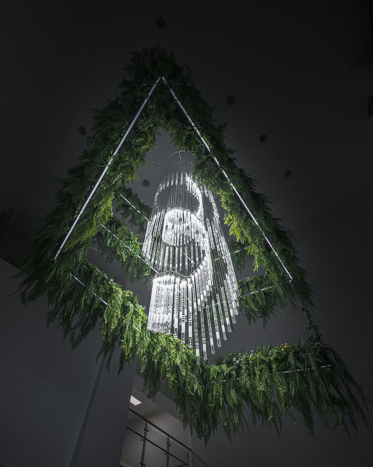 Deric Jeon，Island of life，Island of Life，Phylogenetic tree，Hunan National Institute of biological resources，bio-diversity，DNA data，a chandelier，
