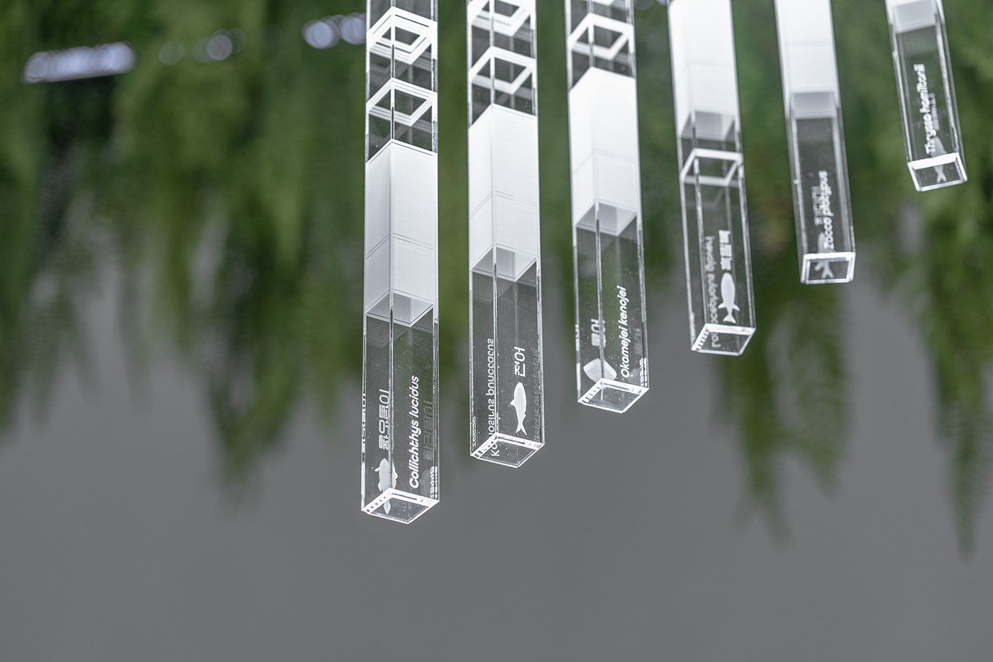 Deric Jeon，Island of life，Island of Life，Phylogenetic tree，Hunan National Institute of biological resources，bio-diversity，DNA data，a chandelier，