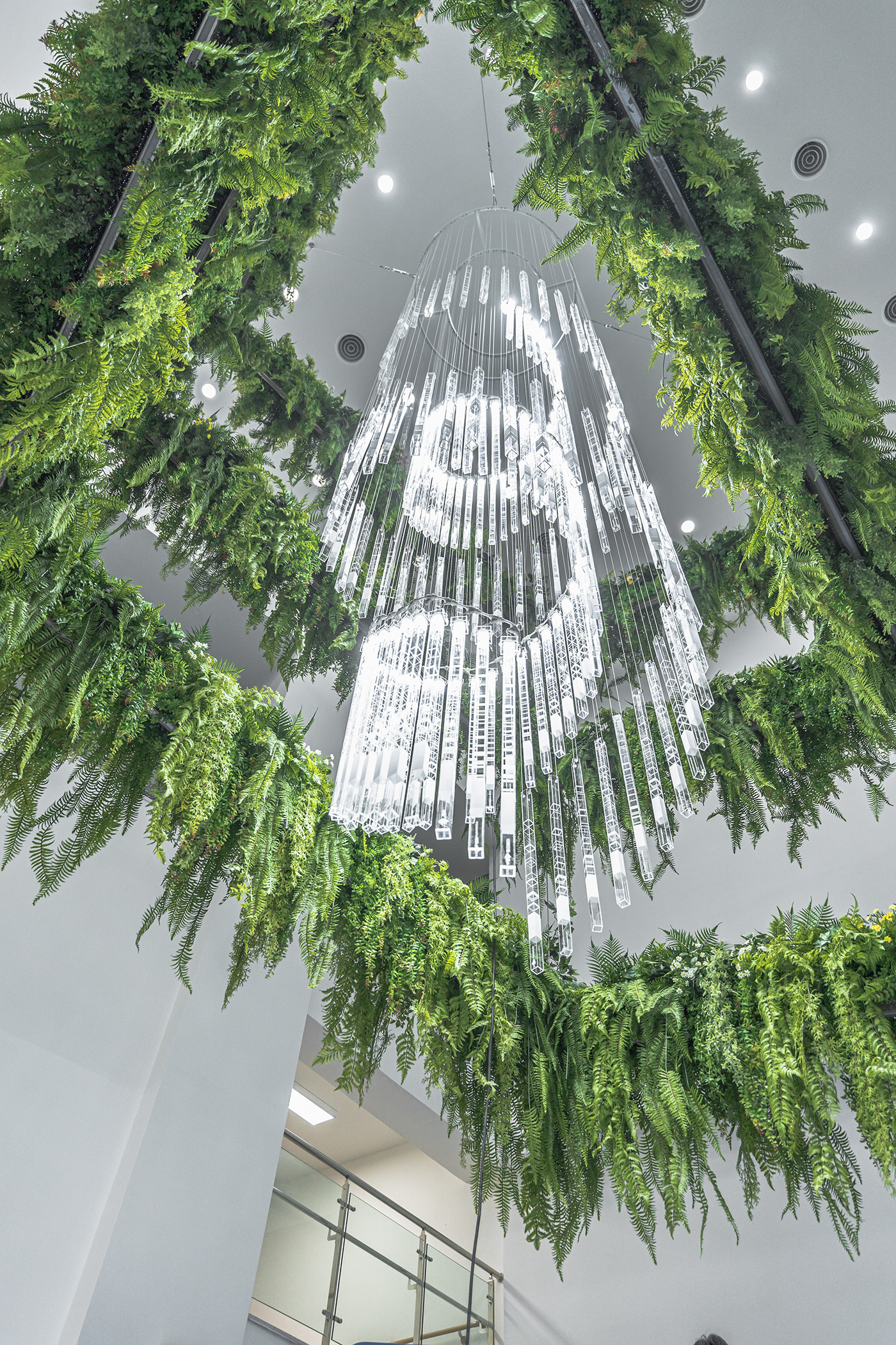 Deric Jeon，Island of life，Island of Life，Phylogenetic tree，Hunan National Institute of biological resources，bio-diversity，DNA data，a chandelier，