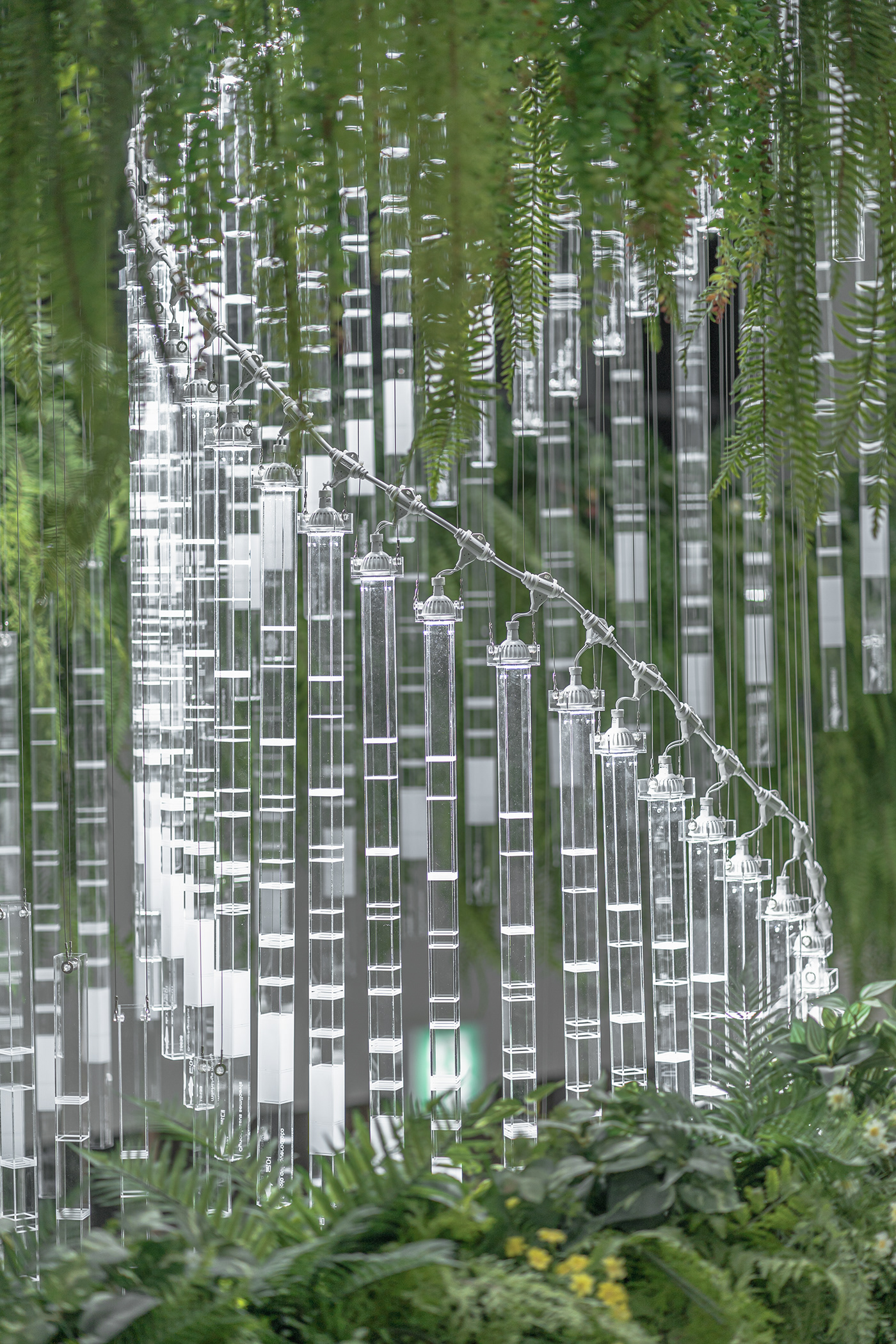 Deric Jeon，Island of life，Island of Life，Phylogenetic tree，Hunan National Institute of biological resources，bio-diversity，DNA data，a chandelier，