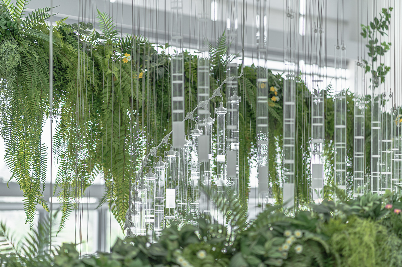 Deric Jeon，Island of life，Island of Life，Phylogenetic tree，Hunan National Institute of biological resources，bio-diversity，DNA data，a chandelier，