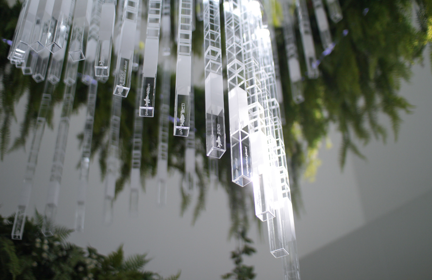 Deric Jeon，Island of life，Island of Life，Phylogenetic tree，Hunan National Institute of biological resources，bio-diversity，DNA data，a chandelier，