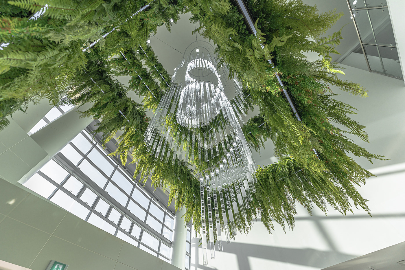 Deric Jeon，Island of life，Island of Life，Phylogenetic tree，Hunan National Institute of biological resources，bio-diversity，DNA data，a chandelier，