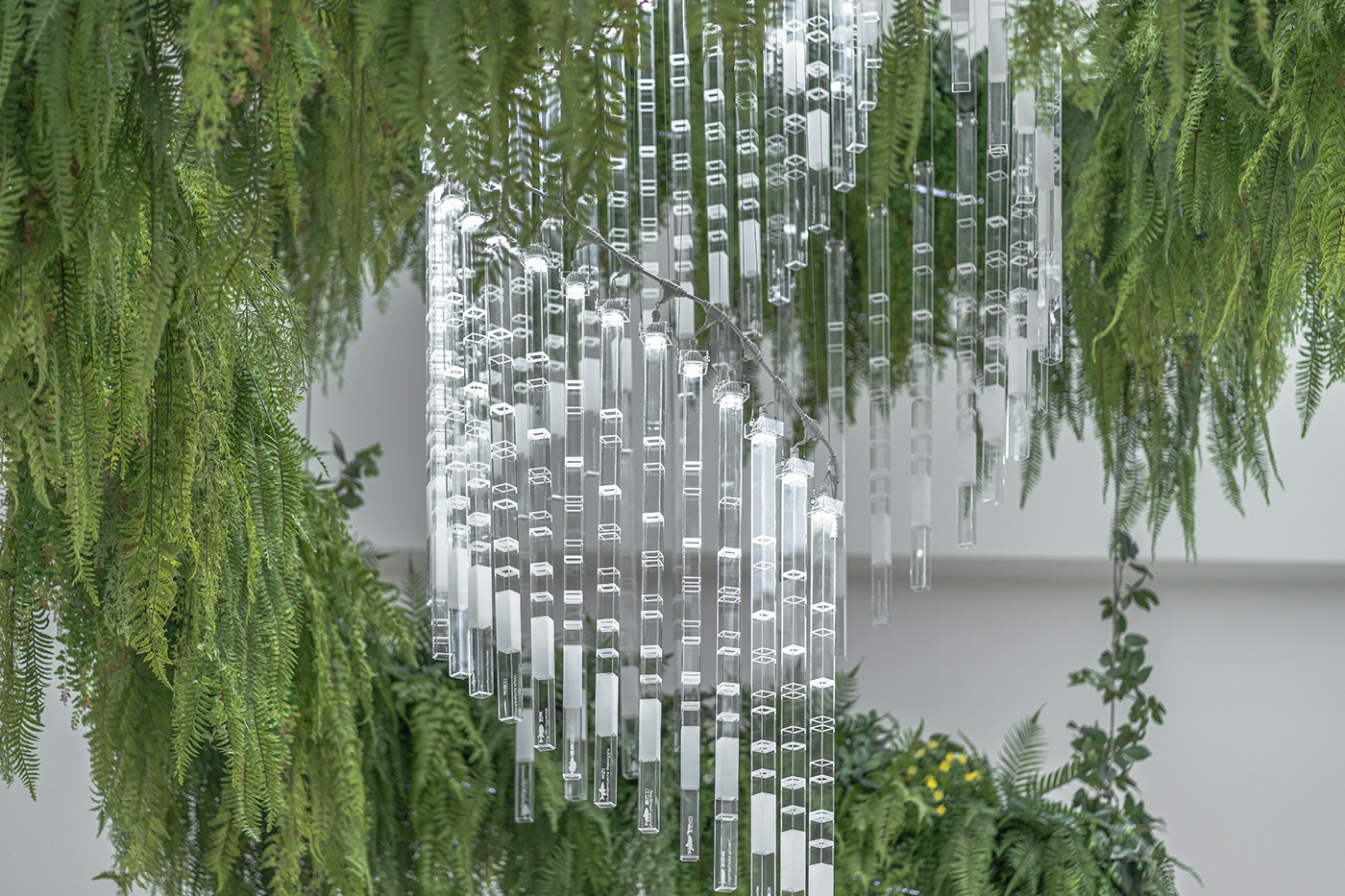 Deric Jeon，Island of life，Island of Life，Phylogenetic tree，Hunan National Institute of biological resources，bio-diversity，DNA data，a chandelier，