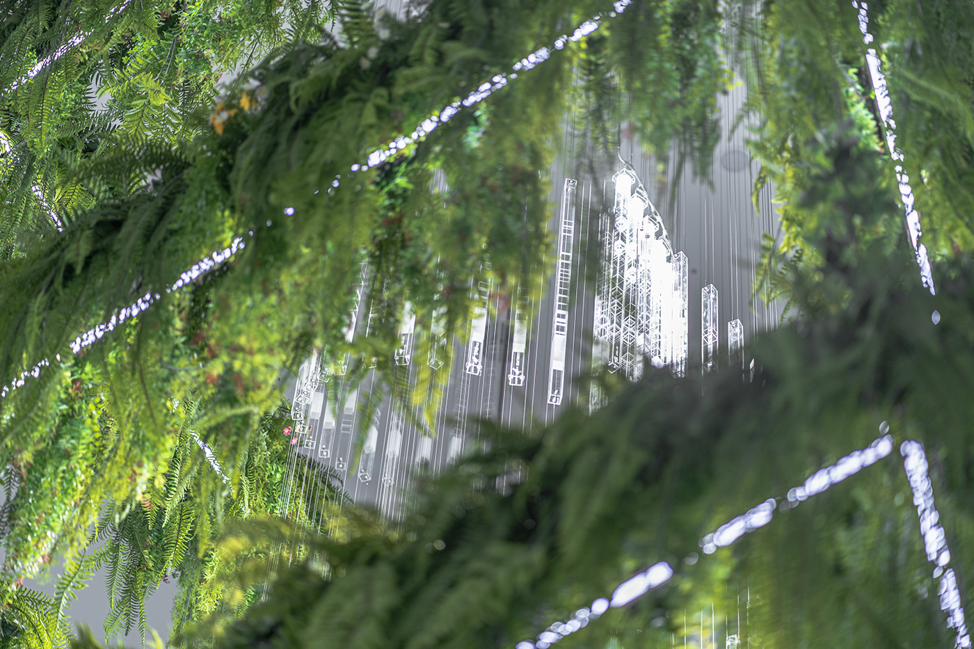 Deric Jeon，Island of life，Island of Life，Phylogenetic tree，Hunan National Institute of biological resources，bio-diversity，DNA data，a chandelier，