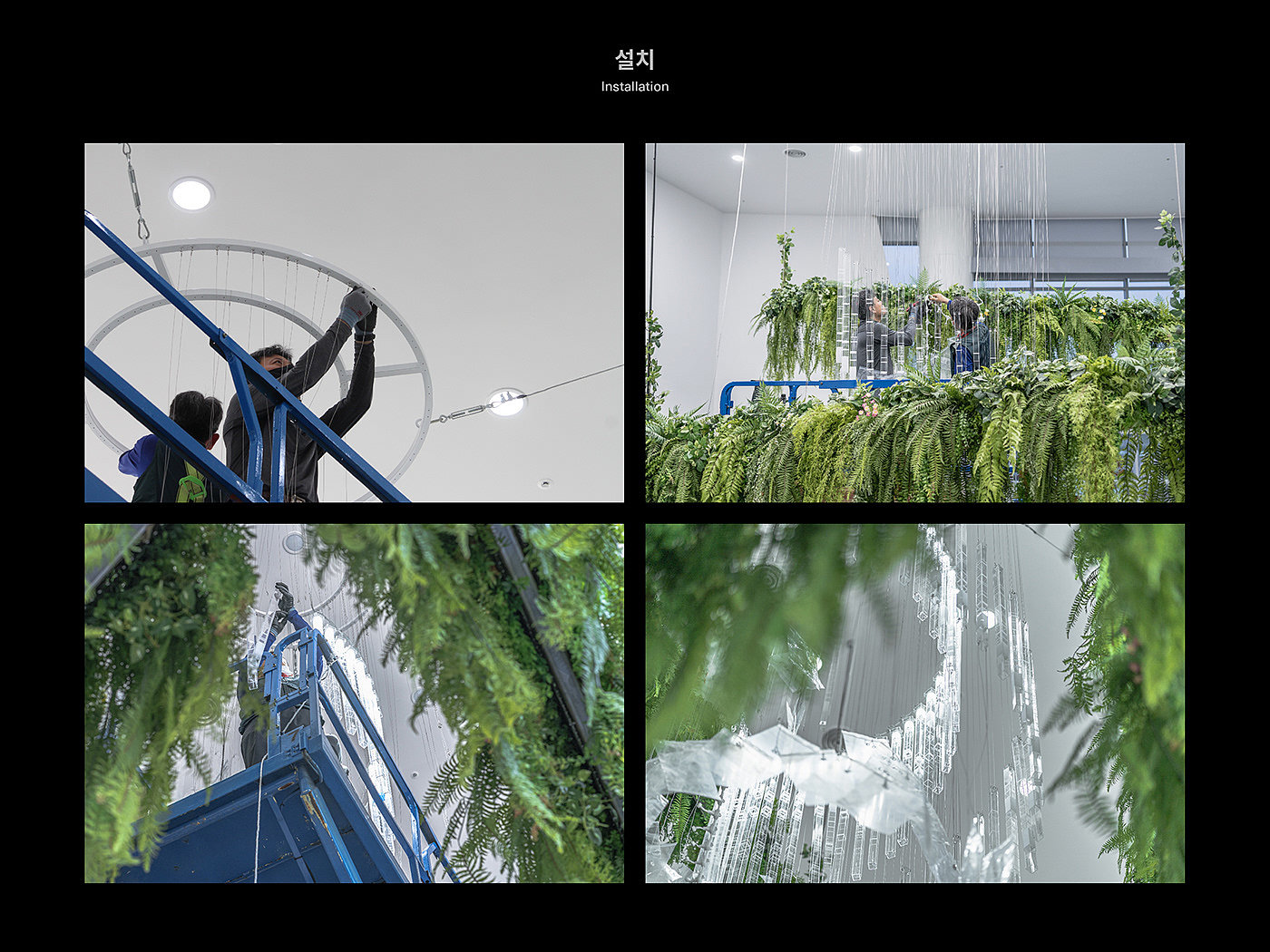 Deric Jeon，Island of life，Island of Life，Phylogenetic tree，Hunan National Institute of biological resources，bio-diversity，DNA data，a chandelier，