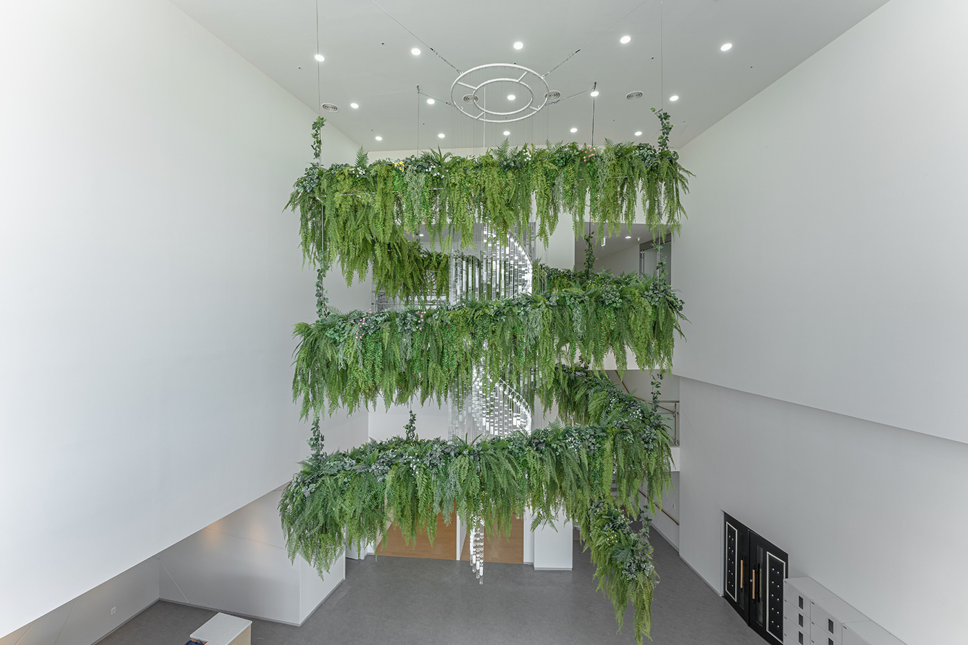 Deric Jeon，Island of life，Island of Life，Phylogenetic tree，Hunan National Institute of biological resources，bio-diversity，DNA data，a chandelier，