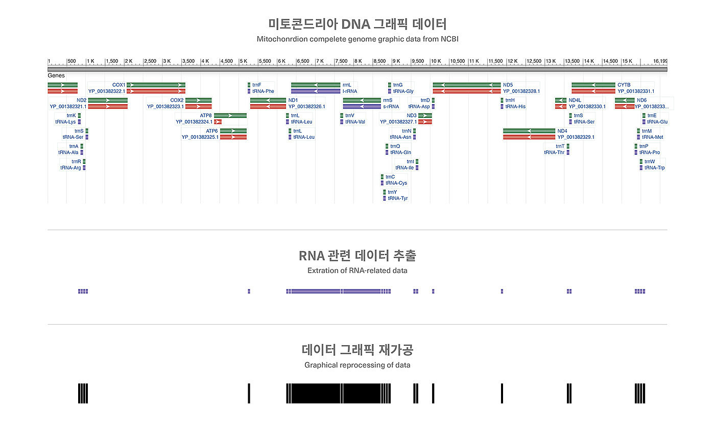 Deric Jeon，Island of life，Island of Life，Phylogenetic tree，Hunan National Institute of biological resources，bio-diversity，DNA data，a chandelier，