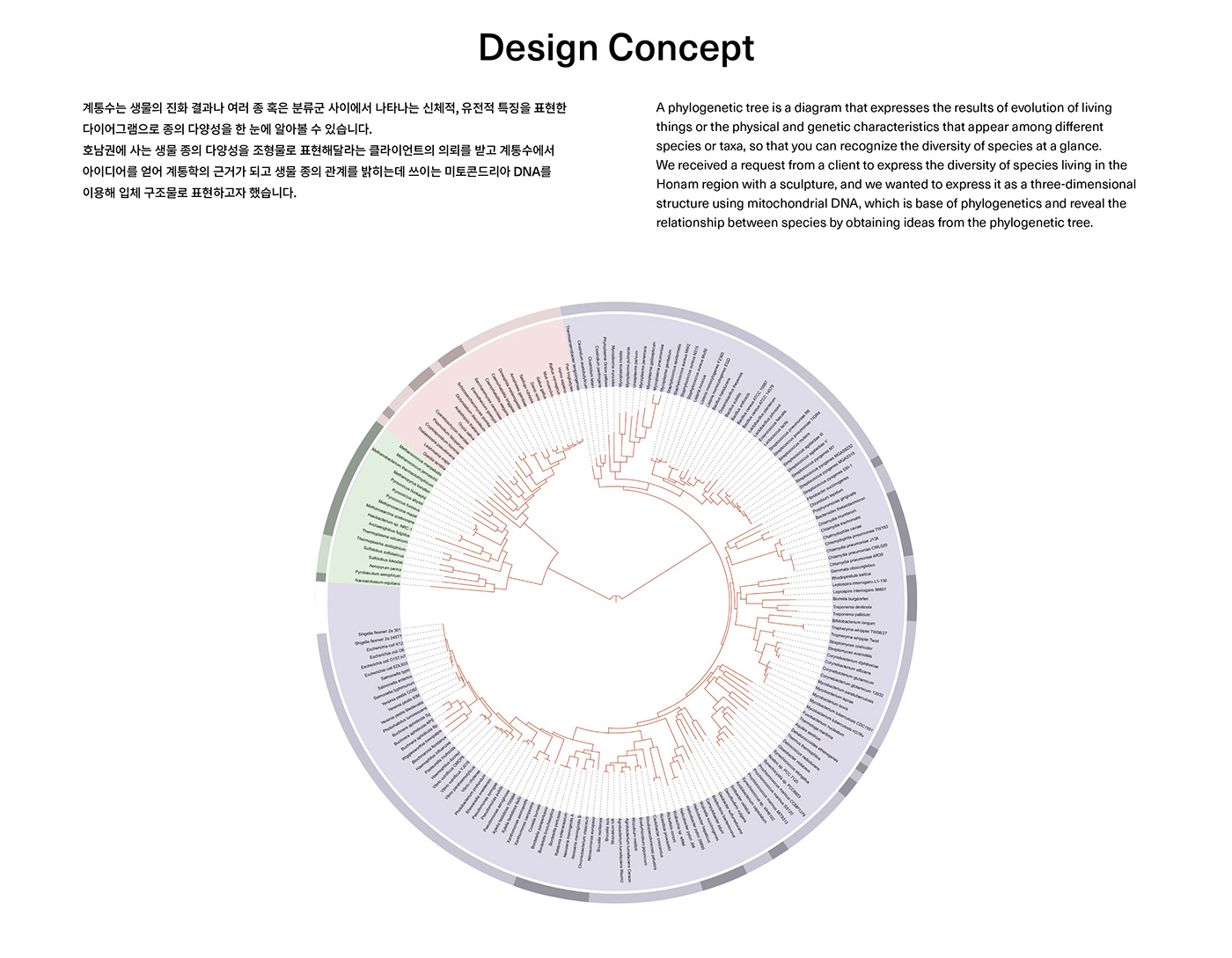 Deric Jeon，Island of life，Island of Life，Phylogenetic tree，Hunan National Institute of biological resources，bio-diversity，DNA data，a chandelier，