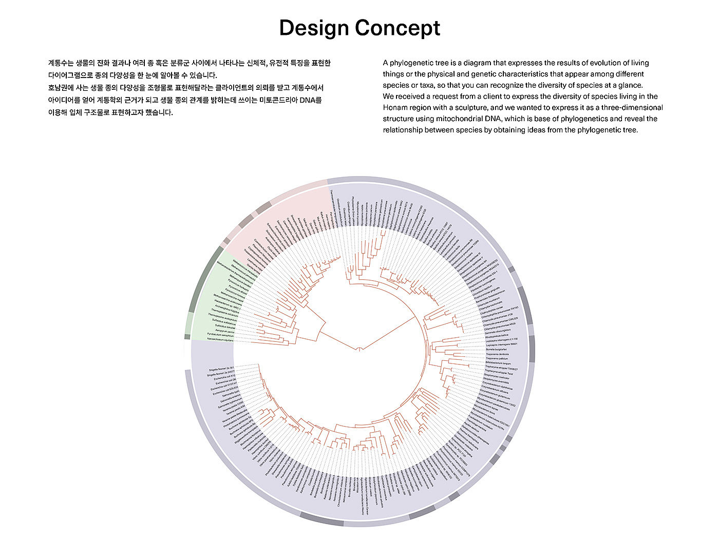 Deric Jeon，生命之岛，Island of Life，系统发育树，湖南国立生物资源研究所，生物多样性，DNA数据，吊灯，