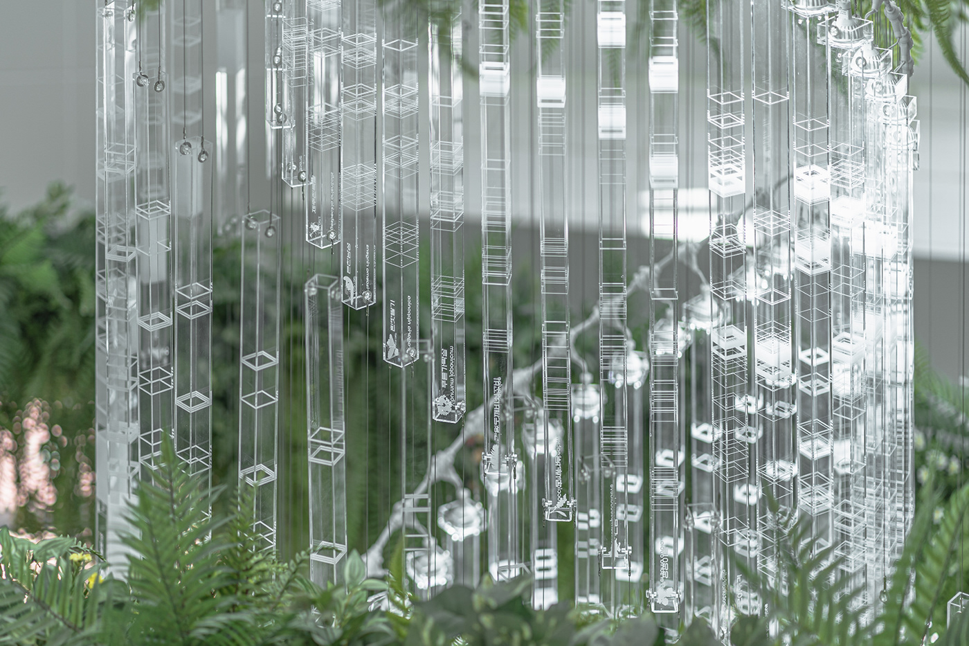 Deric Jeon，Island of life，Island of Life，Phylogenetic tree，Hunan National Institute of biological resources，bio-diversity，DNA data，a chandelier，