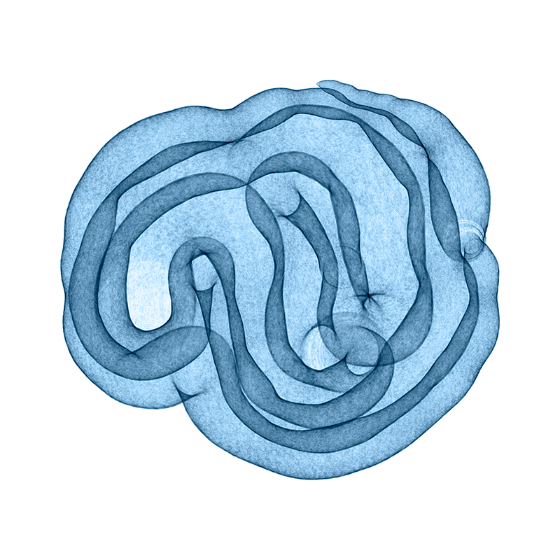 Arthur Kenzo，Artworks，artistic works，transparent，