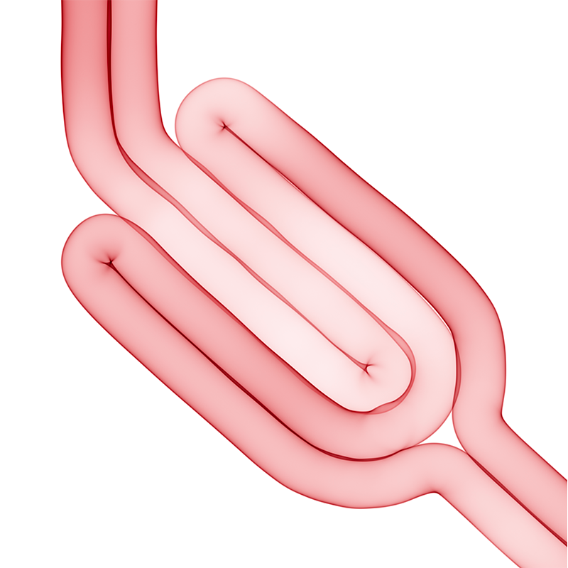 Arthur Kenzo，Artworks，artistic works，transparent，