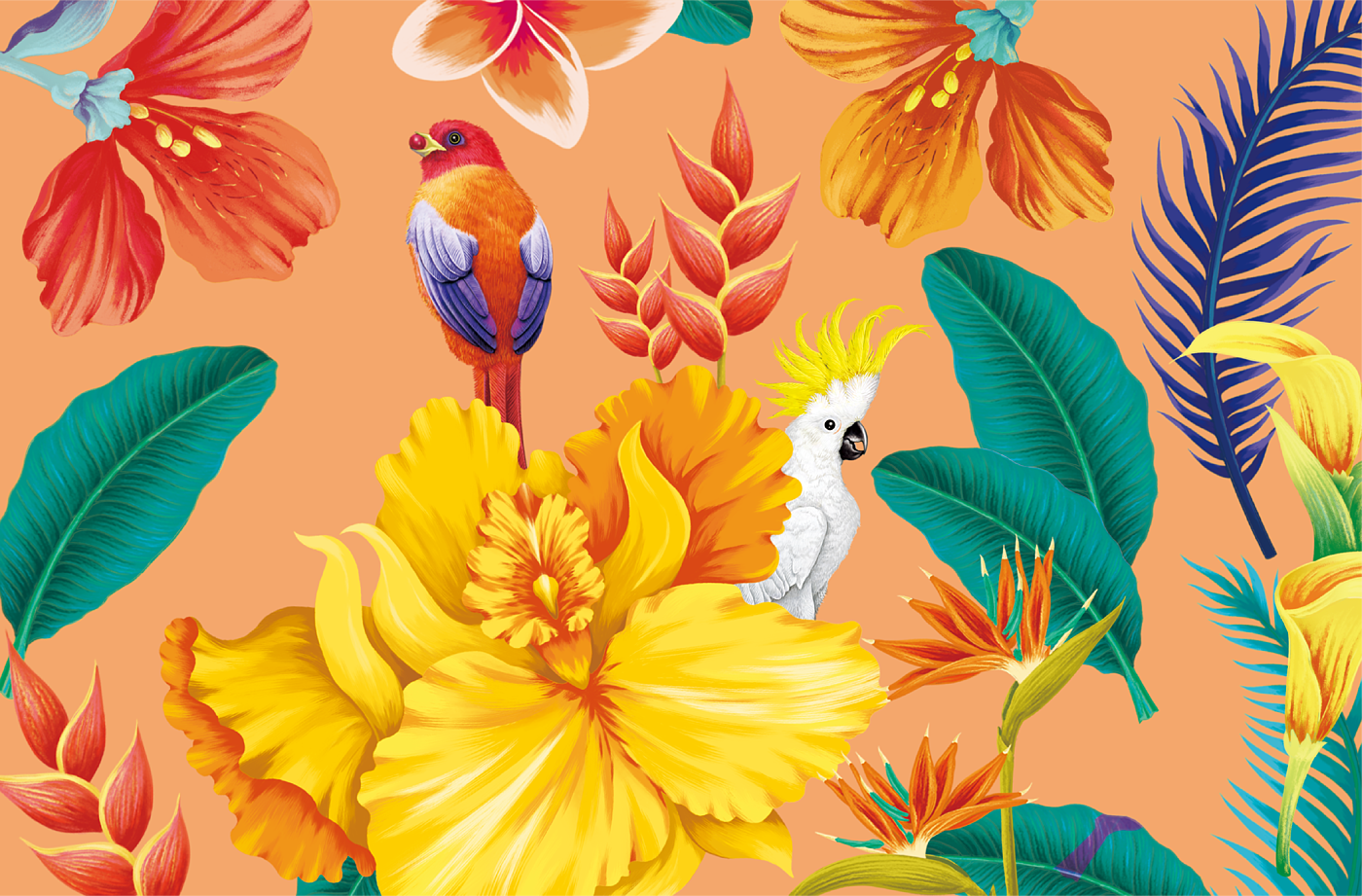 Xingrui，Pan Hu，Coffee，packing，originality，Illustration，