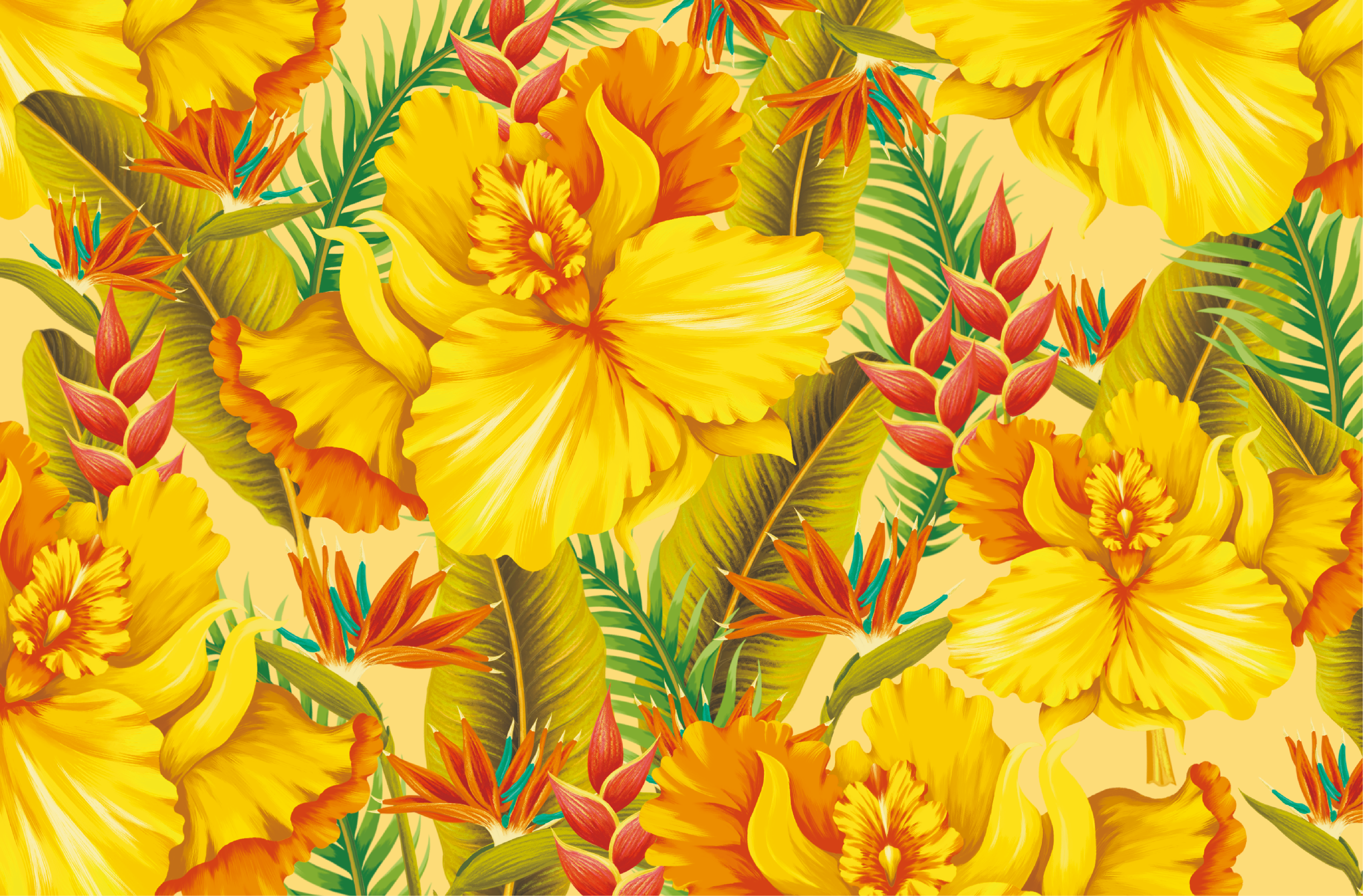 Xingrui，Pan Hu，Coffee，packing，originality，Illustration，