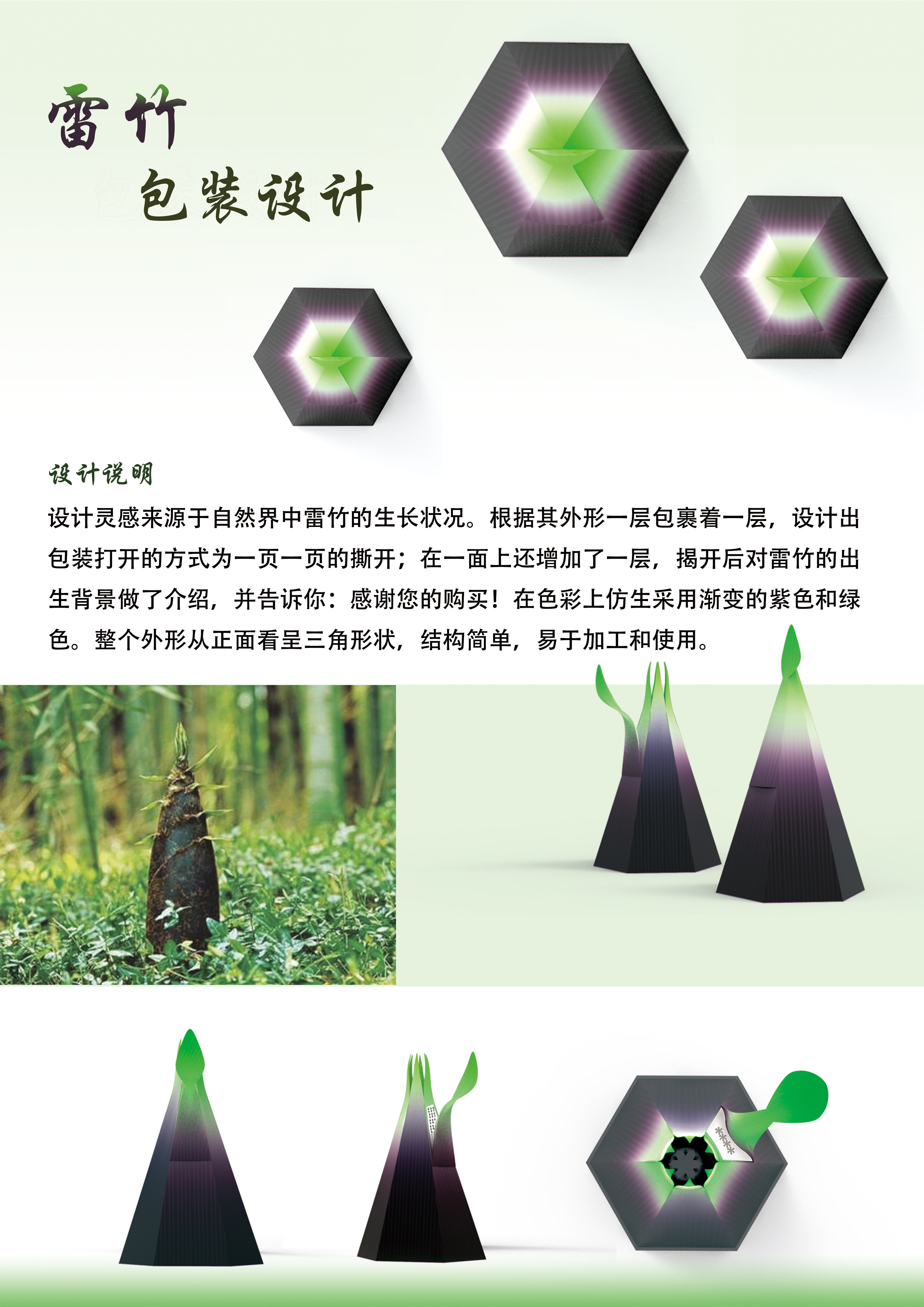 Thunder bamboo packaging design; Packaging design of agricultural products; Creative design;，