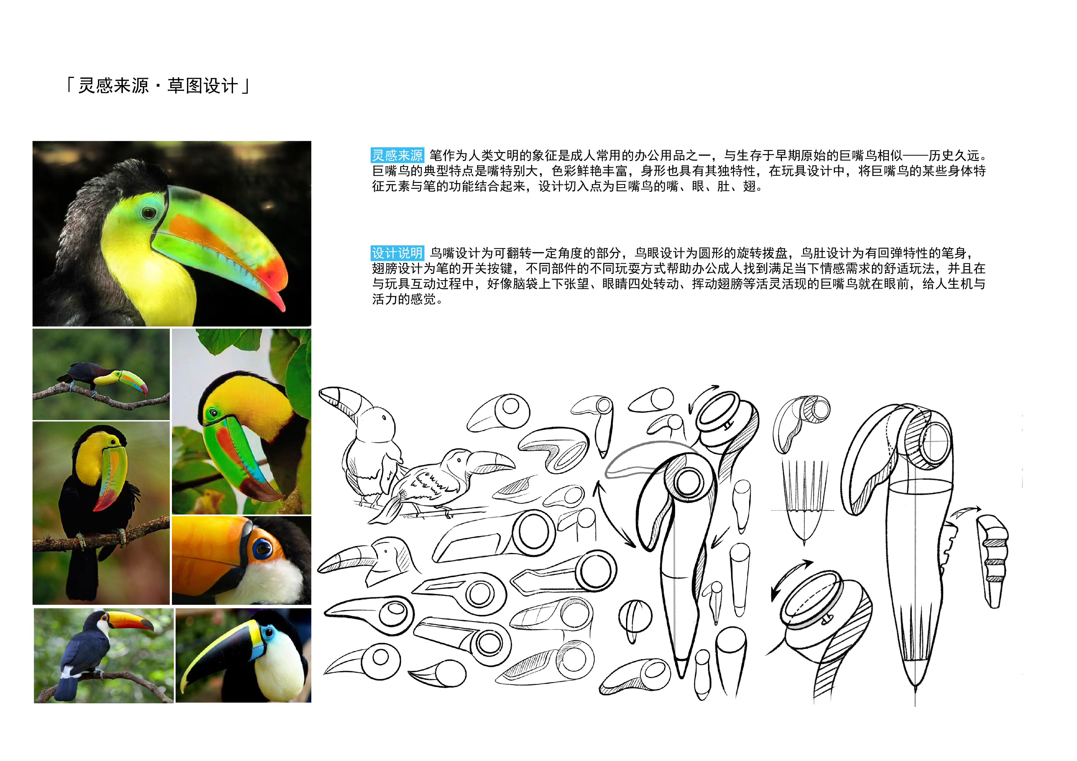 sample reels，product design，Bionics Design ，packing design，