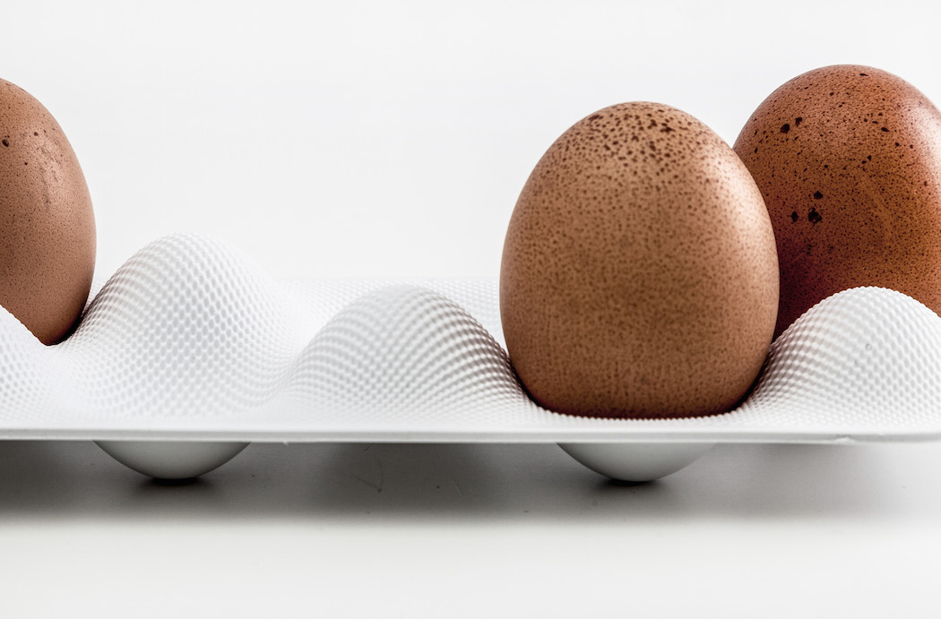 Eggwave，Store eggs，shelf，