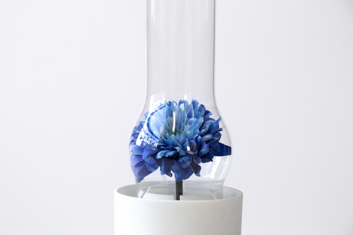 Glass，Giuseppe，vase，