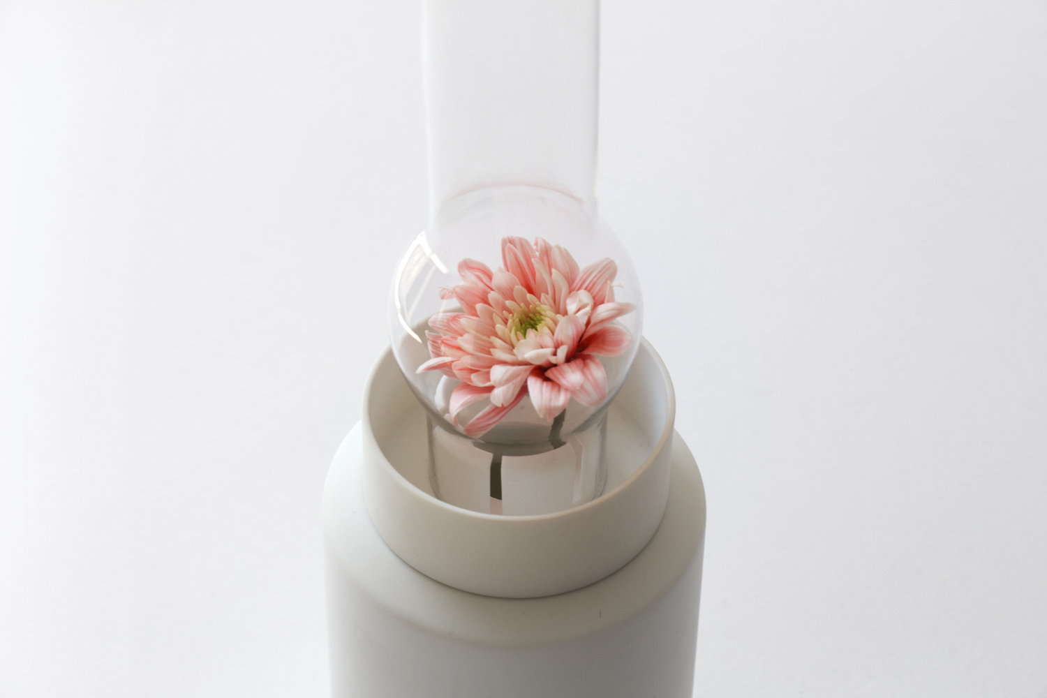 Glass，Giuseppe，vase，