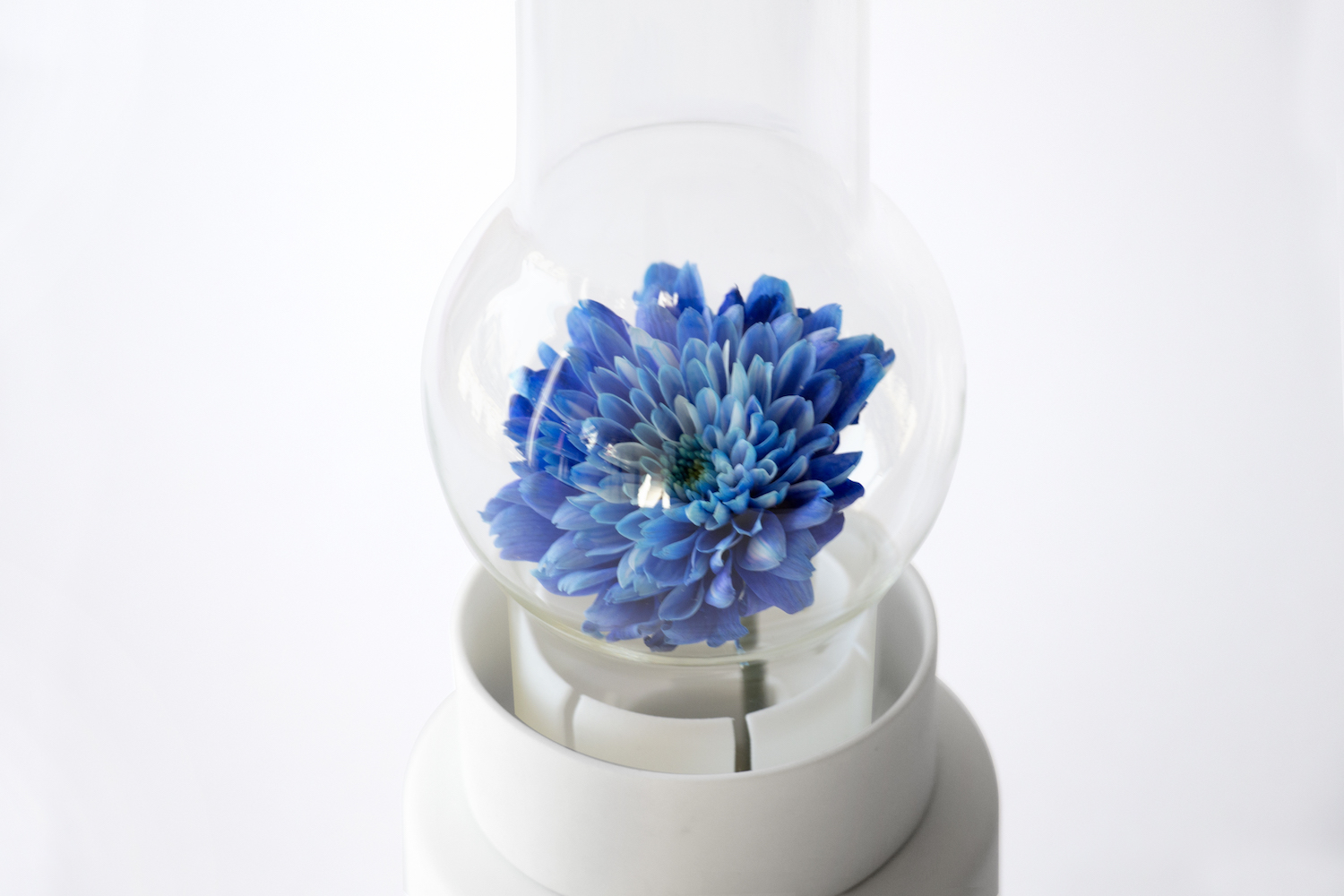 Glass，Giuseppe，vase，