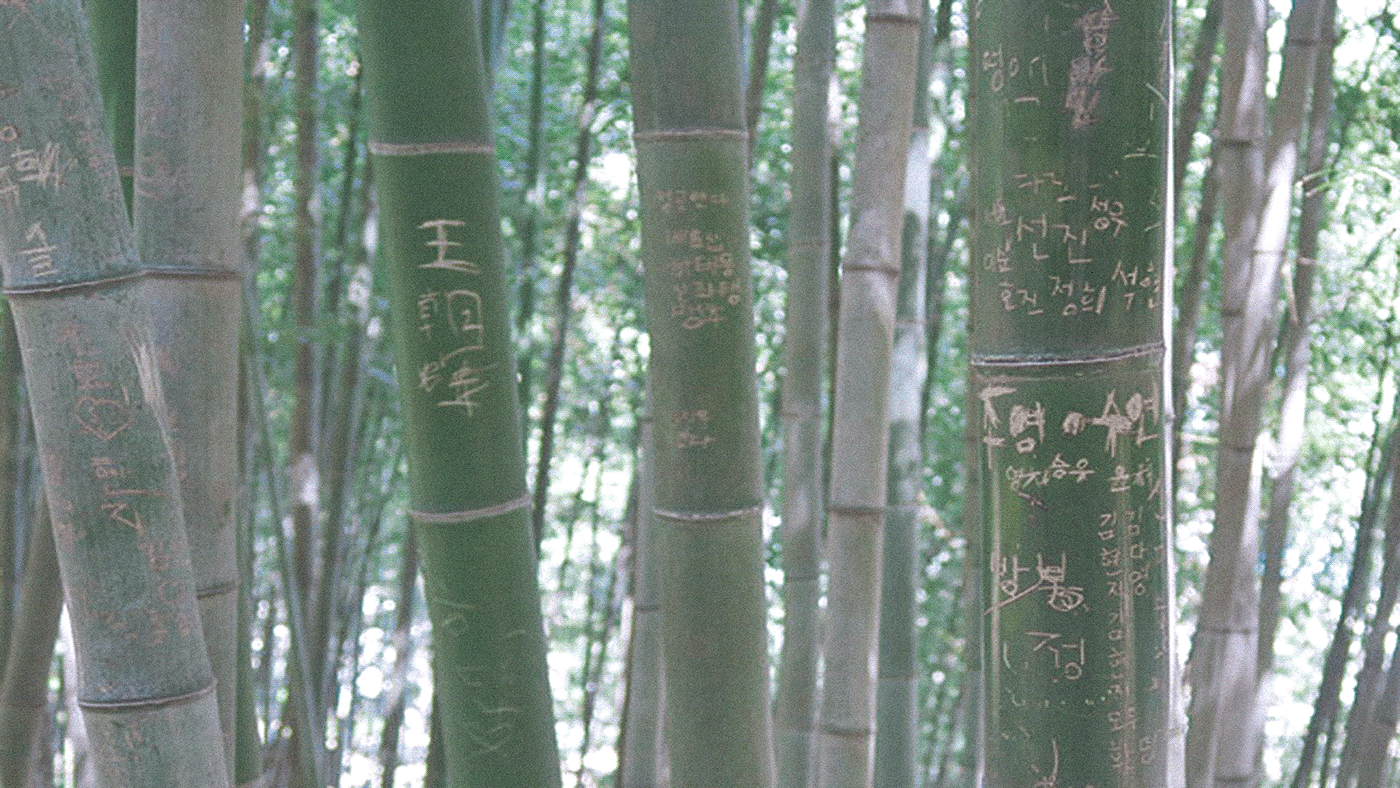 Bioplastics，environment protection，industrial design，product design，