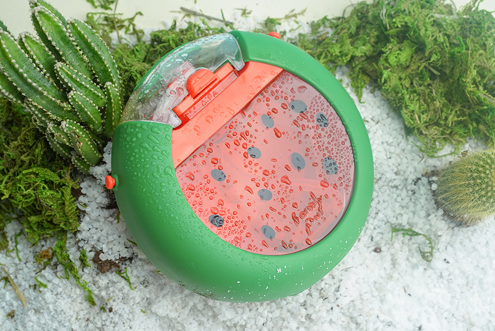 Rice grains，Fruits，kettle，