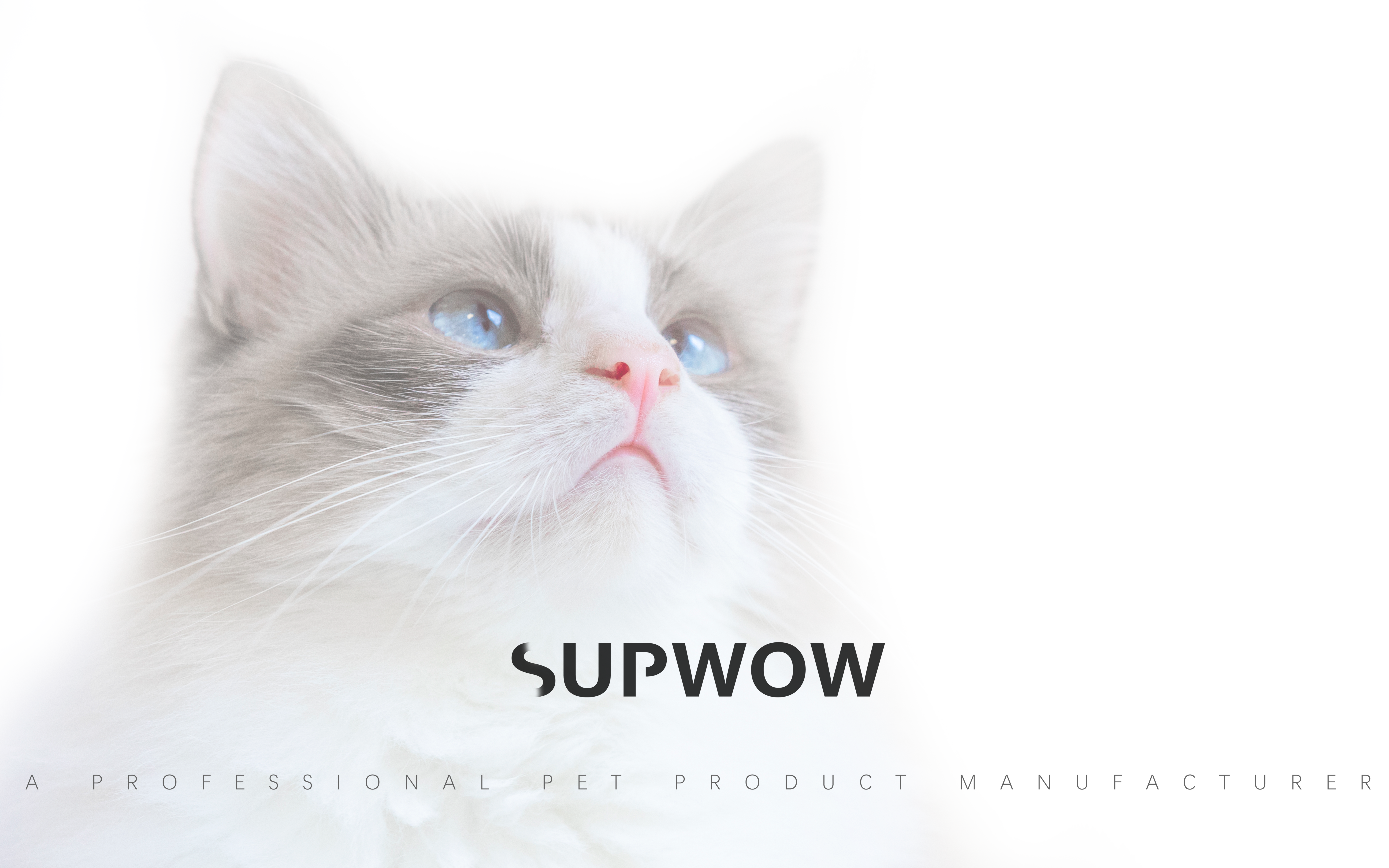 Pets，Cat climbing frame，