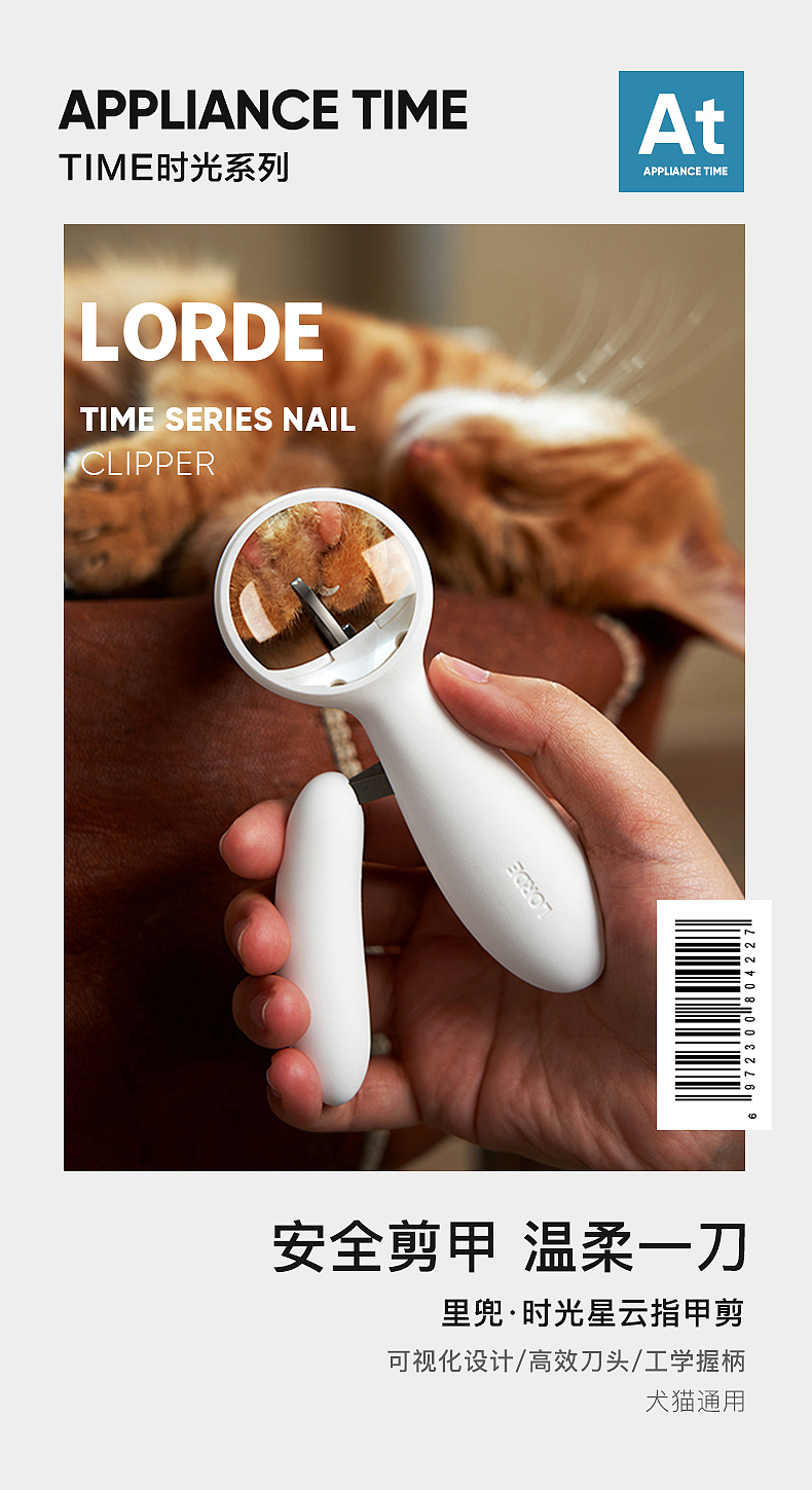 Pets，Kitty，