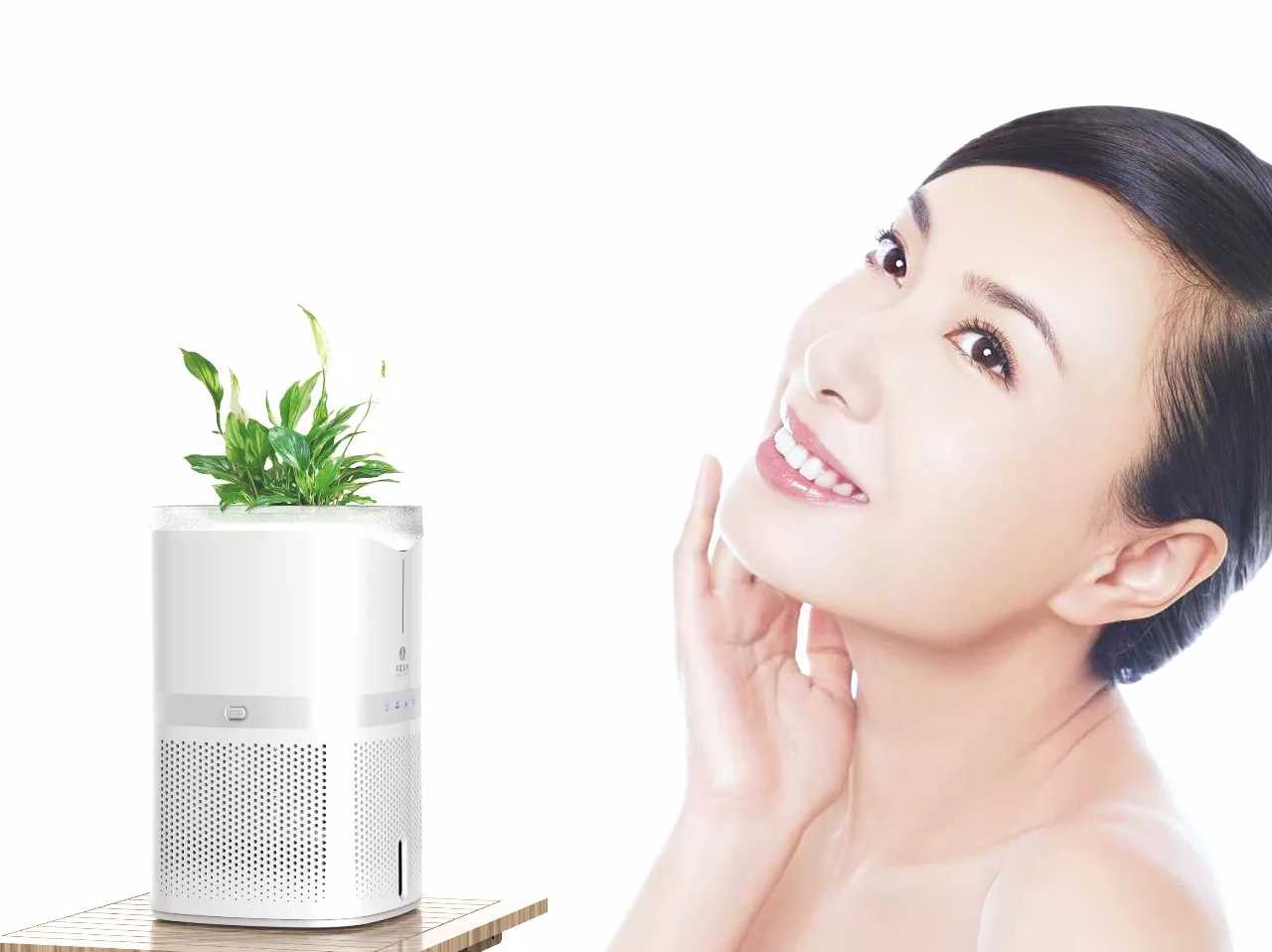 Purification, water replenishment, beauty, humidification, anion，