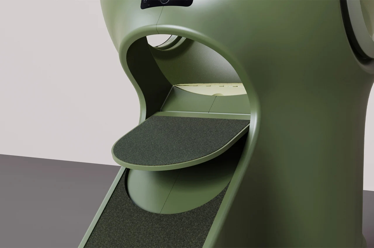 Pets，clean，Take a bath，