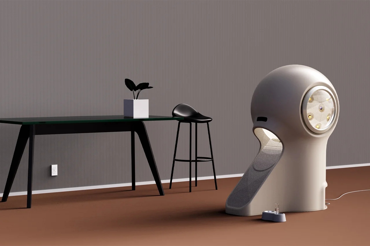 Pets，clean，Take a bath，