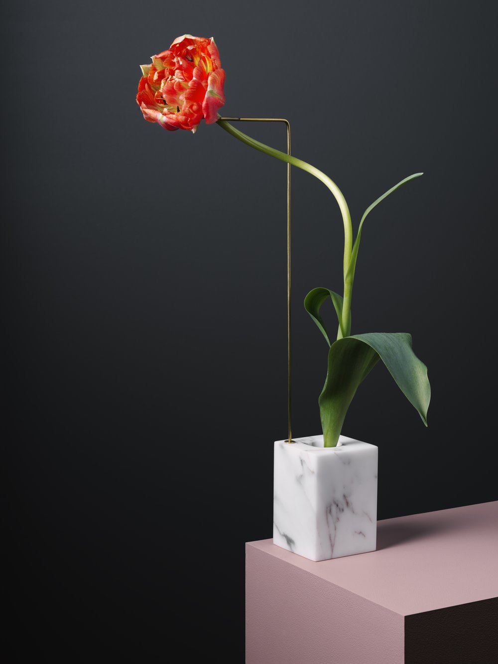Postures Vases，vase，product design，industrial design，