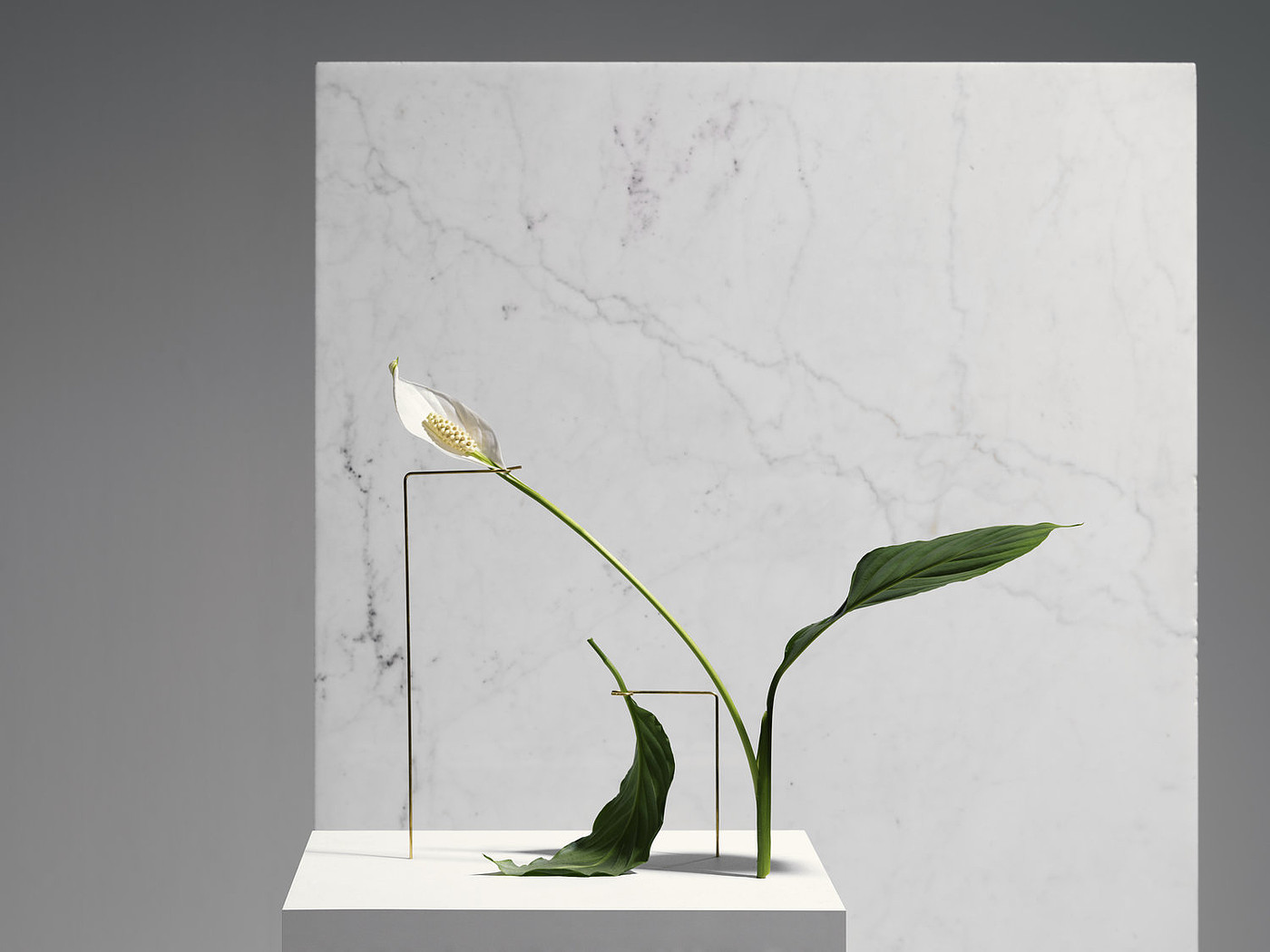 Postures Vases，vase，product design，industrial design，