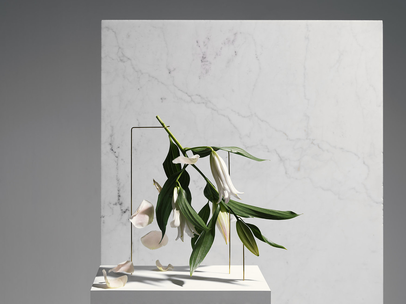 Postures Vases，vase，product design，industrial design，
