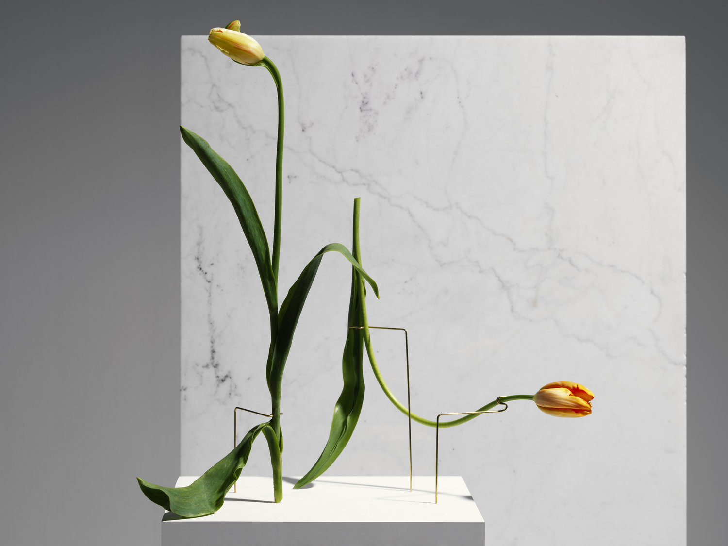 Postures Vases，vase，product design，industrial design，