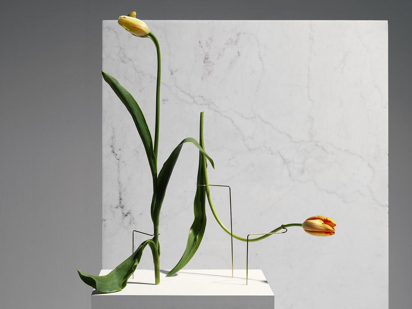 Postures Vases，花瓶，产品设计，工业设计，