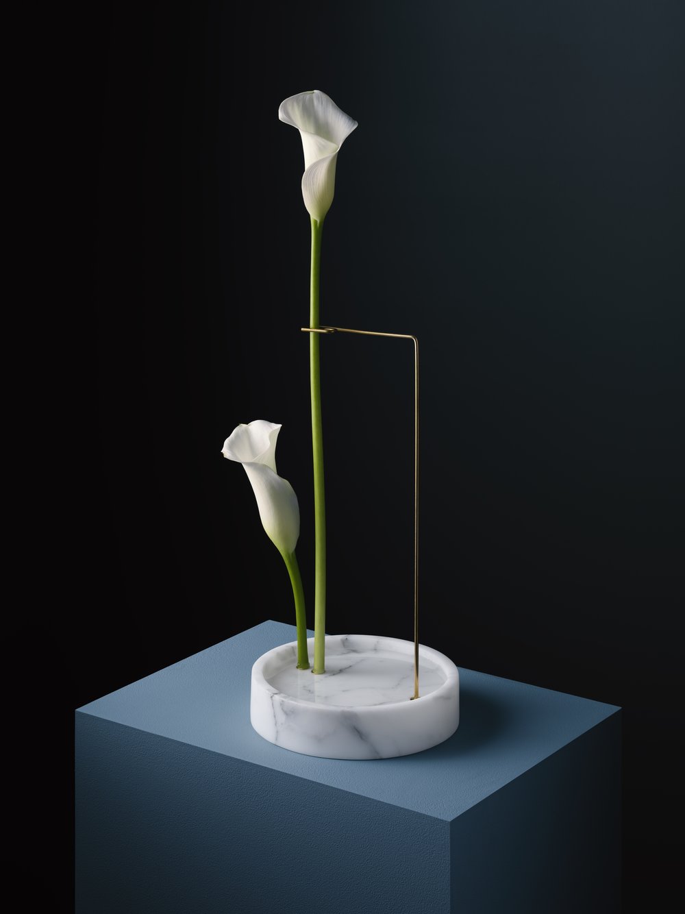 Postures Vases，vase，product design，industrial design，