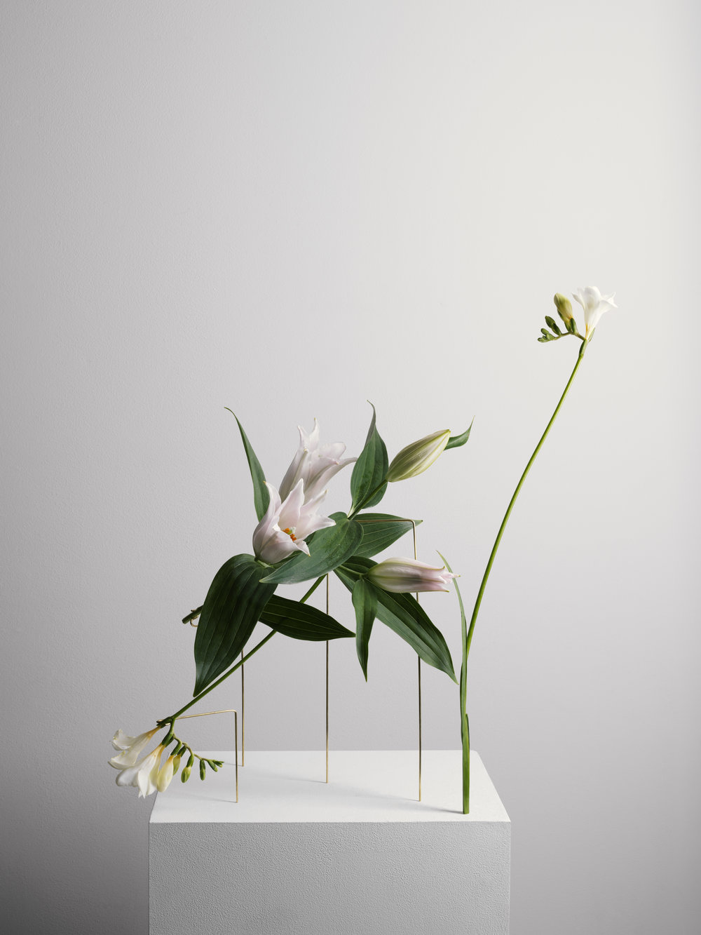 Postures Vases，vase，product design，industrial design，