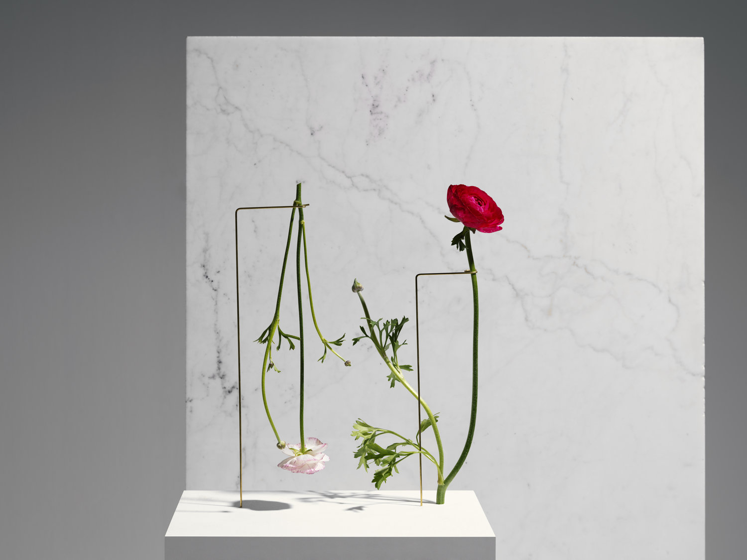 Postures Vases，vase，product design，industrial design，