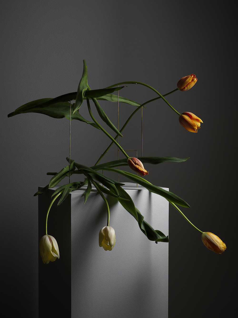 Postures Vases，花瓶，产品设计，工业设计，