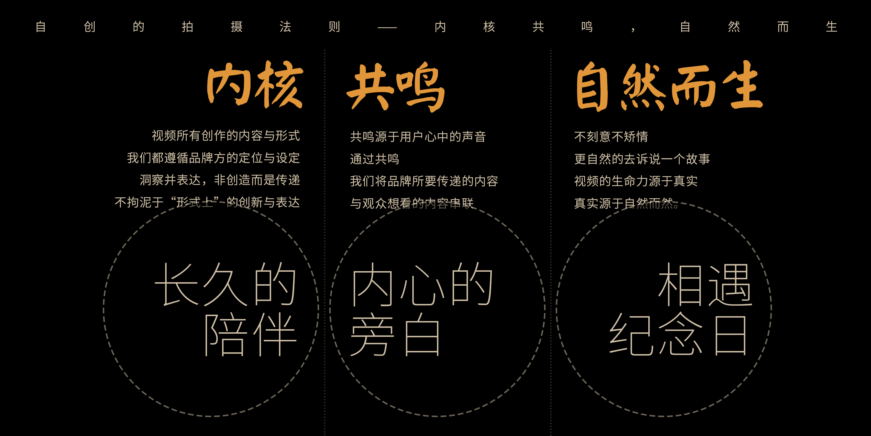 trailer，advertisement，Photography，Camera，originality，literature，cat，Pets，