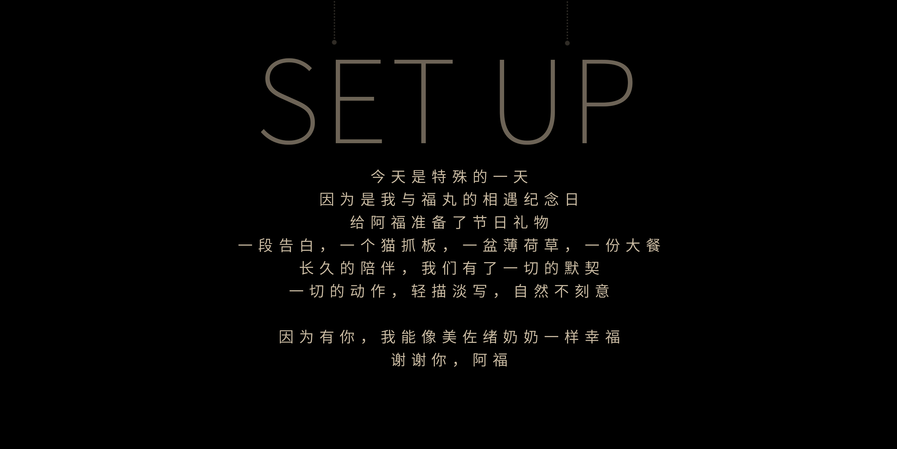 trailer，advertisement，Photography，Camera，originality，literature，cat，Pets，