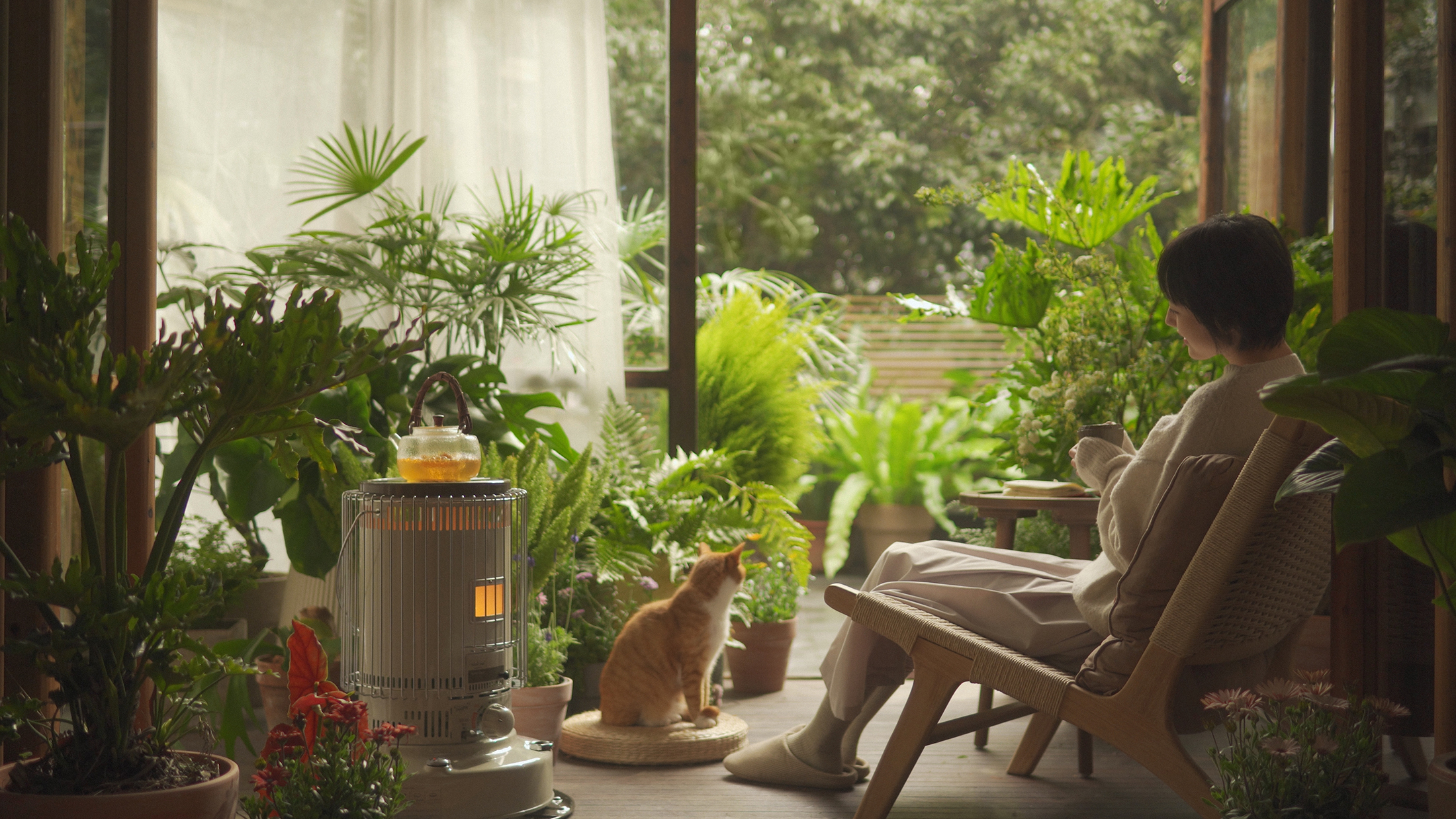 trailer，advertisement，Photography，Camera，originality，literature，cat，Pets，