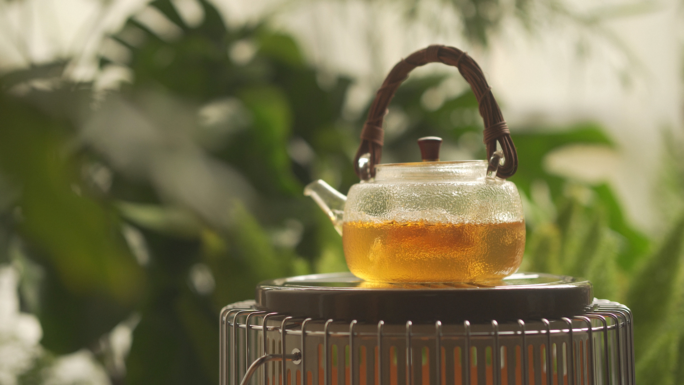 trailer，advertisement，Photography，Camera，originality，literature，cat，Pets，